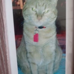 Meet your Posher, Dawn